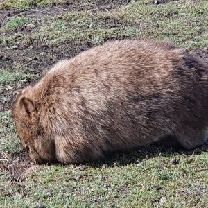 Meet your Posher, Sally